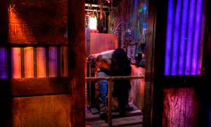 What Will You Witness At Thrillvania Thrill Park?