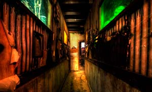 If These Halls Could Talk