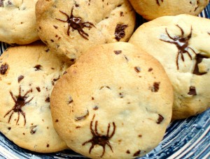 spider-cookies1